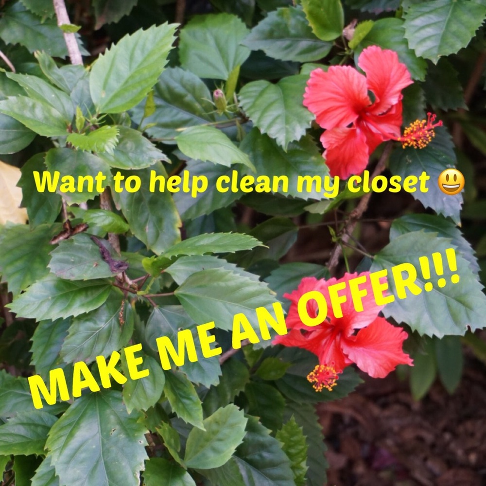 Make an offer!